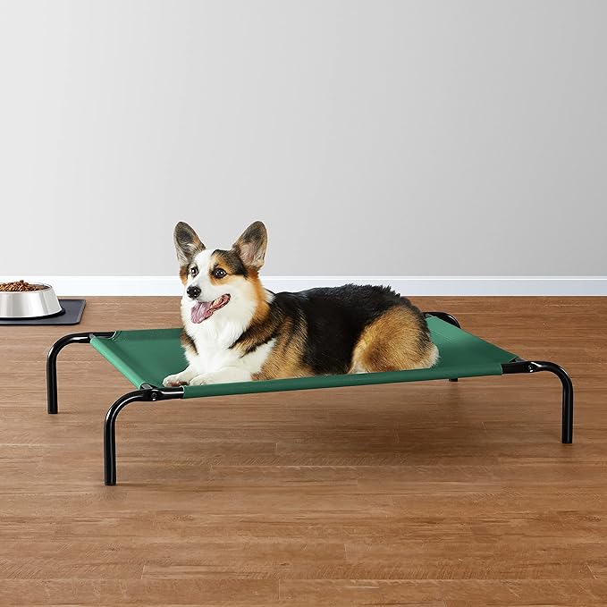 Amazon Basics – Cama Elevada Refrescante para Perros Tamaño Medium · Verde
