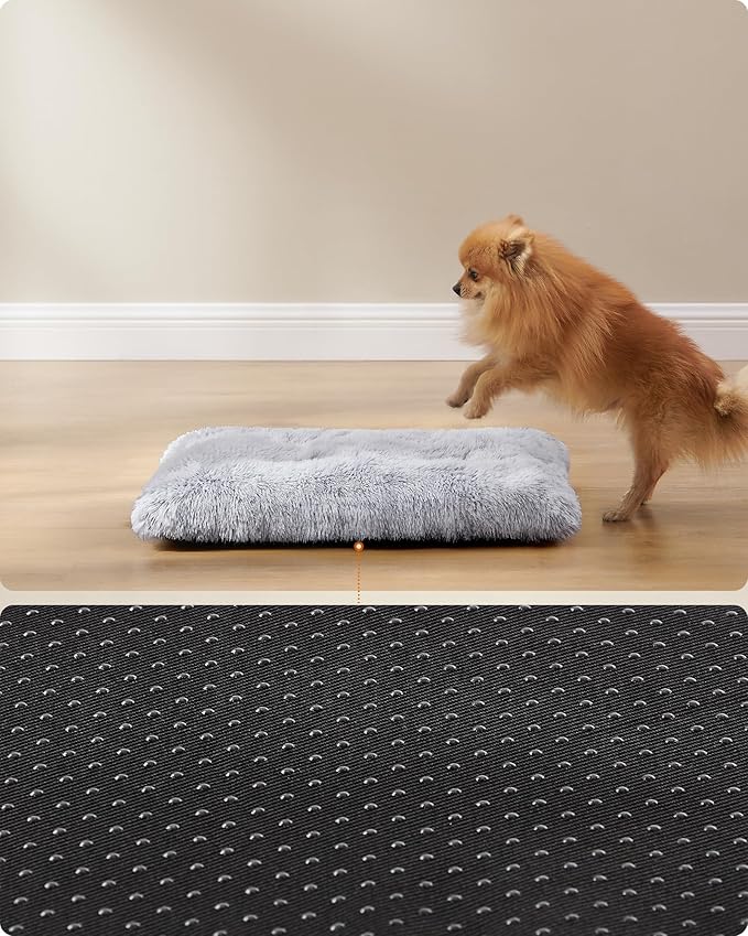 Feandrea Sofá para Perros – Su Pequeño Trono de Comodidad y Calma