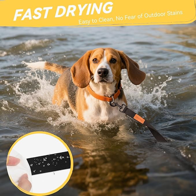 Correa Larga de Adiestramiento – Libertad, Aprendizaje y Confianza