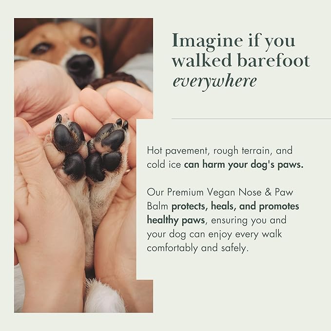 Nina Woof – Crema Vegana para Almohadillas y Nariz de Perros - La caricia que tus peludo merece cada día