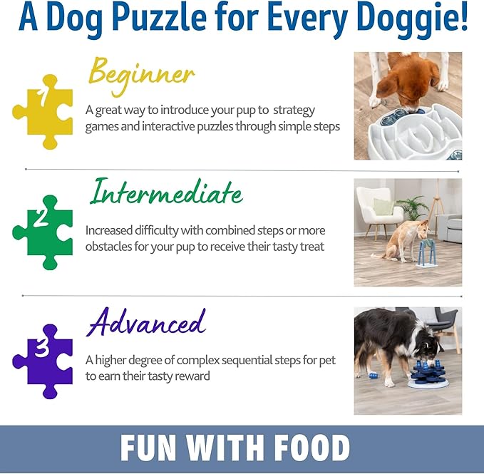 RIXIE Dog Activity – Turn Around (Nivel 2) - Un reto para mentes despiertas… como en los hogares de siempre