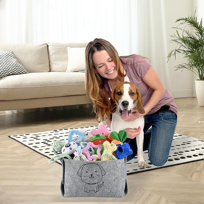 Pack de 24 Juguetes para Cachorros - Mordidas, juegos y vida… como en los hogares de antes