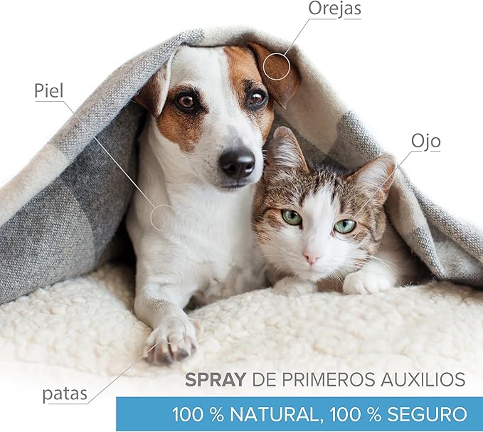 Spray de Plata Coloidal 100% Natural – El alivio que tu mejor amigo lleva tiempo pidiendo