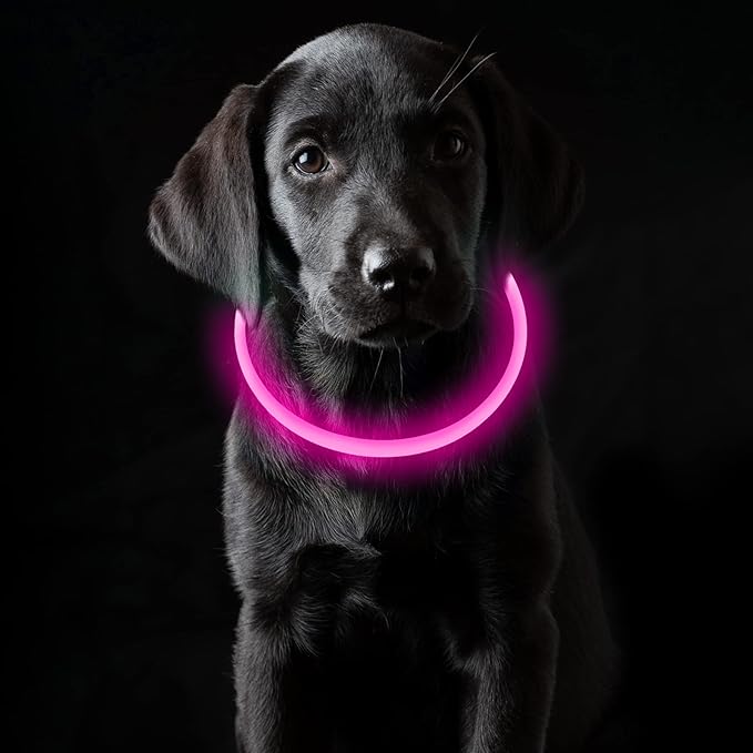 Coolzon Collar Luminoso para Perros y Gatos – Luz, Seguridad y Amor en Cada Paseo