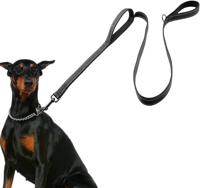 HRYSPN – Correa Resistente para Perros Grandes   Control, seguridad y calma en cada paso · 1,50 m · Doble asa acolchada