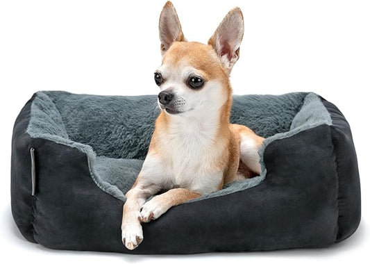 Cama lionto para Perros – Un Refugio Pequeño, Suave y Lleno de Cariño