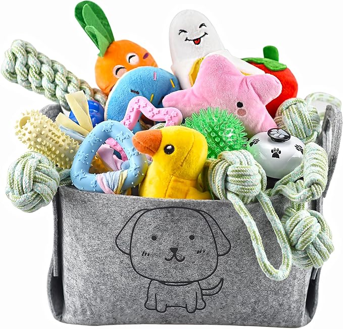 Pack de 24 Juguetes para Cachorros - Mordidas, juegos y vida… como en los hogares de antes