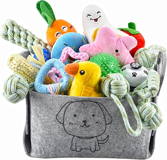 Pack de 24 Juguetes para Cachorros - Mordidas, juegos y vida… como en los hogares de antes