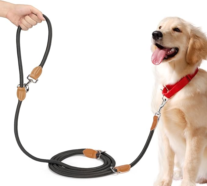 Correa Doble Enganche para Perros – Control, Libertad y Equilibrio   3 metros · Ajustable · Negro