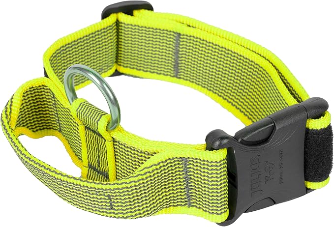 Collar Color & Gray – Seguridad, Fuerza y Control con Alma   40 mm · Ajustable 38–53 cm · Neón/Gris