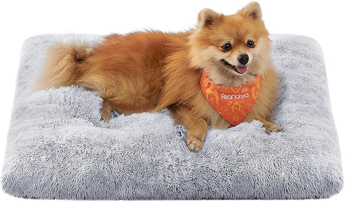 Feandrea Sofá para Perros – Su Pequeño Trono de Comodidad y Calma
