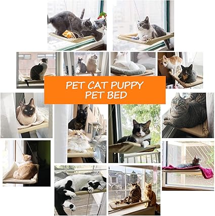 DIDUDE – Hamaca de Ventana para Gatos - Un trono al sol para los reyes silenciosos del hogar