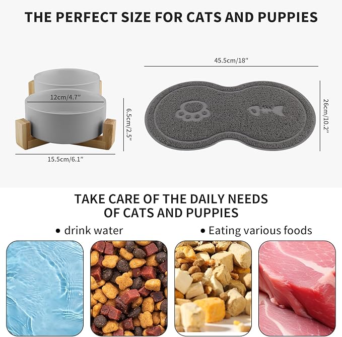 Comedero Elevado para Gatos y Perros Pequeños – Doble Cuenco