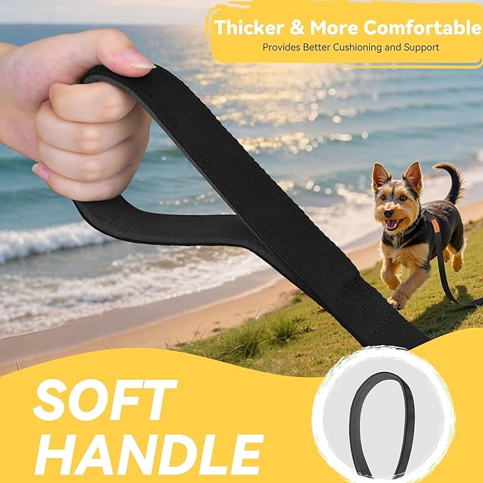 Correa Larga de Adiestramiento – Libertad, Aprendizaje y Confianza