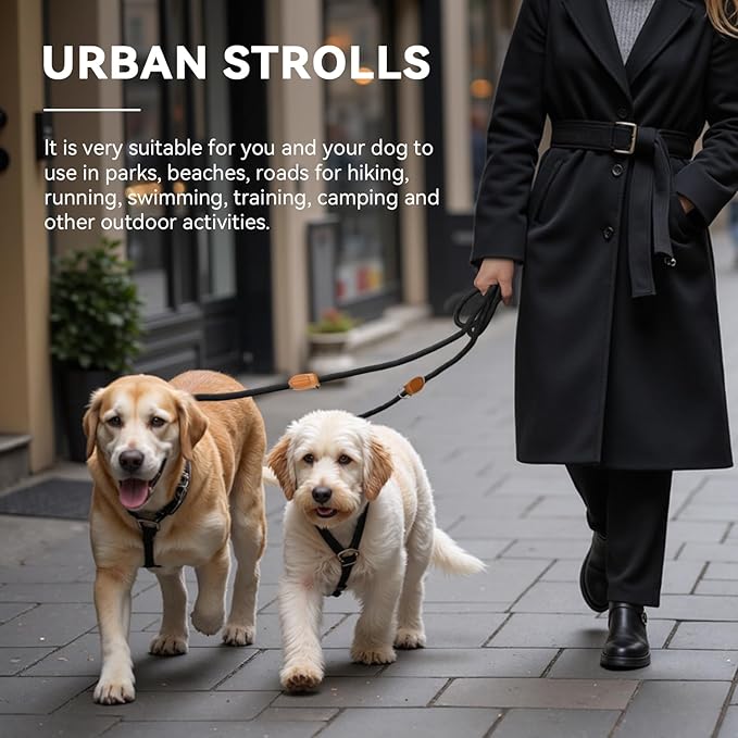 Correa Doble Enganche para Perros – Control, Libertad y Equilibrio   3 metros · Ajustable · Negro