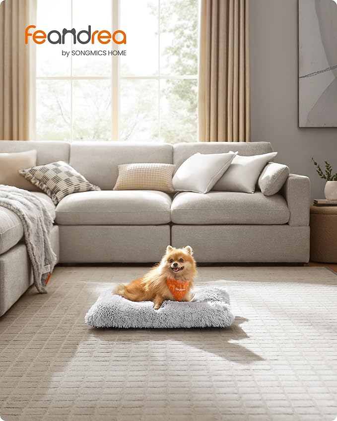 Feandrea Sofá para Perros – Su Pequeño Trono de Comodidad y Calma