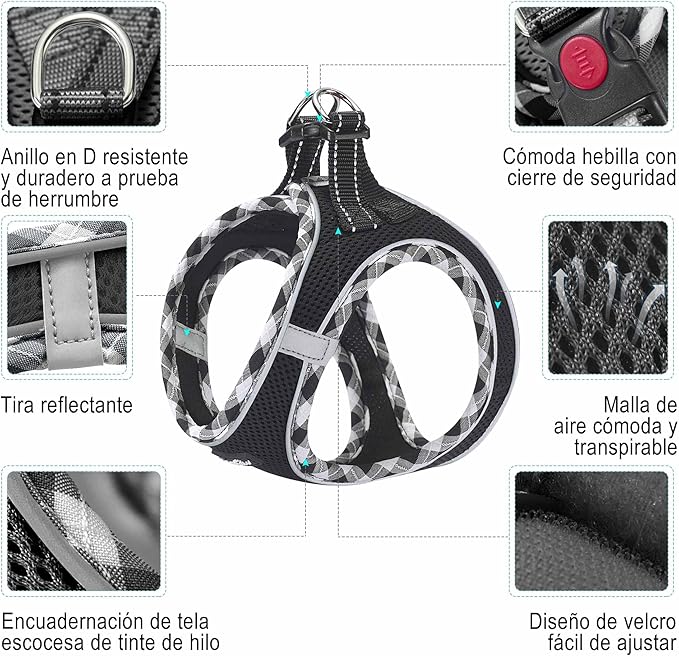 haapaw – Arnés + Correa Reflectante   El abrazo seguro que acompaña cada paseo