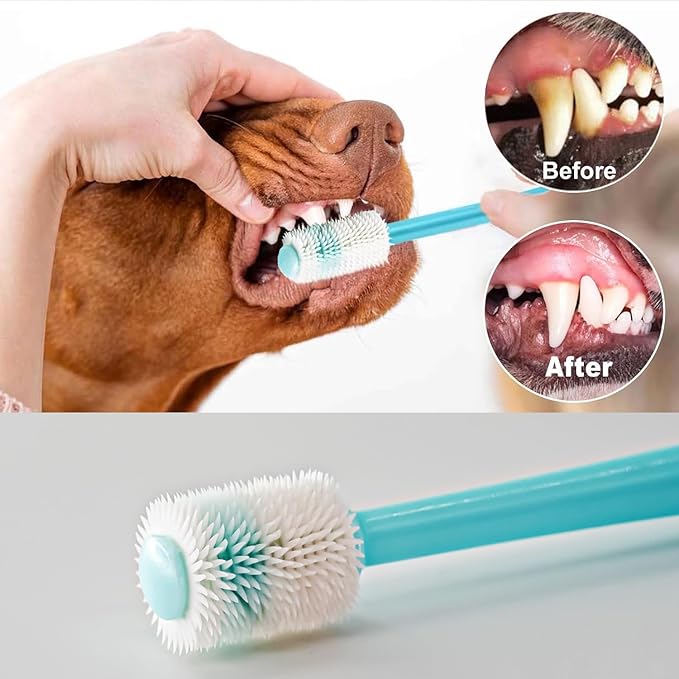 Cepillo Dental 360º para Perros y Gatos — Sonrisas Sanas, Vínculos Más Fuertes