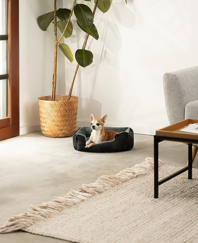 Cama lionto para Perros – Un Refugio Pequeño, Suave y Lleno de Cariño