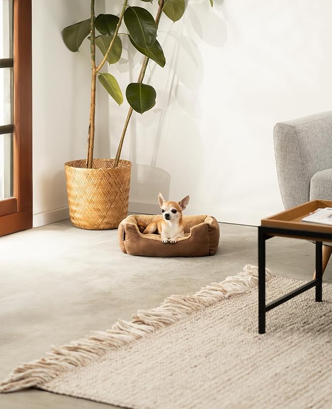 Cama lionto para Perros y Gatos – Un Refugio Suave, Cálido y Lleno de Hogar