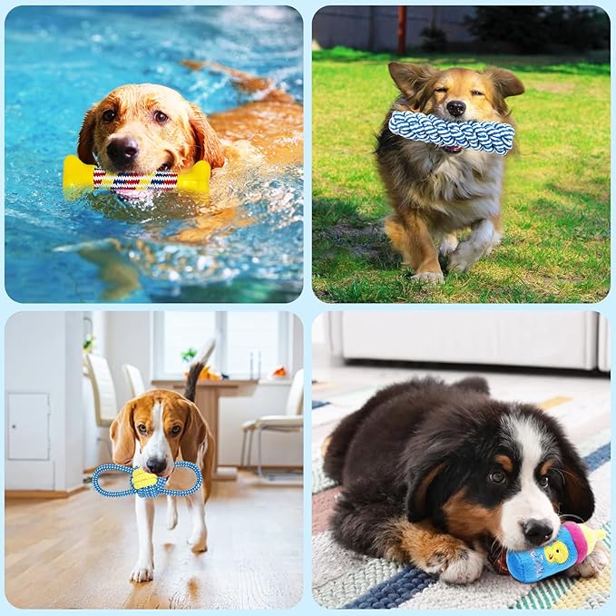 Juguetes para Perros – Pack de 19 Piezas - Tradición, juego y cariño para tu compañero fiel