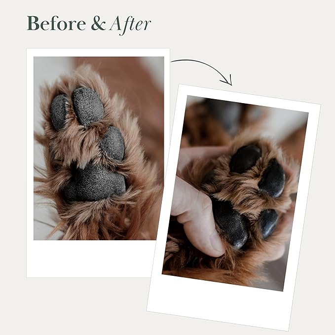 Nina Woof – Crema Vegana para Almohadillas y Nariz de Perros - La caricia que tus peludo merece cada día