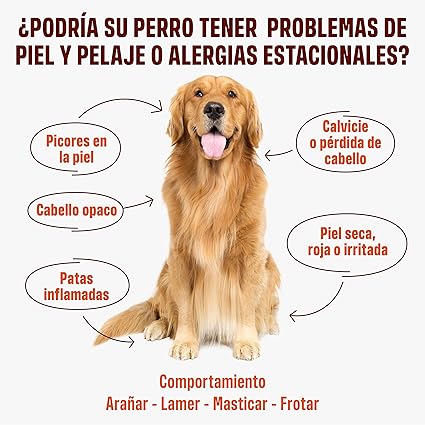 ivvi – Skin & Coat (60 golosinas de salmón) - Un cuidado ancestral para un pelaje sano, suave y lleno de vida