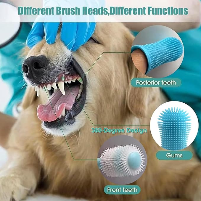 Cepillo Dental 360º para Perros y Gatos — Sonrisas Sanas, Vínculos Más Fuertes