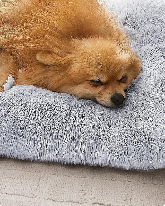 Feandrea Sofá para Perros – Su Pequeño Trono de Comodidad y Calma