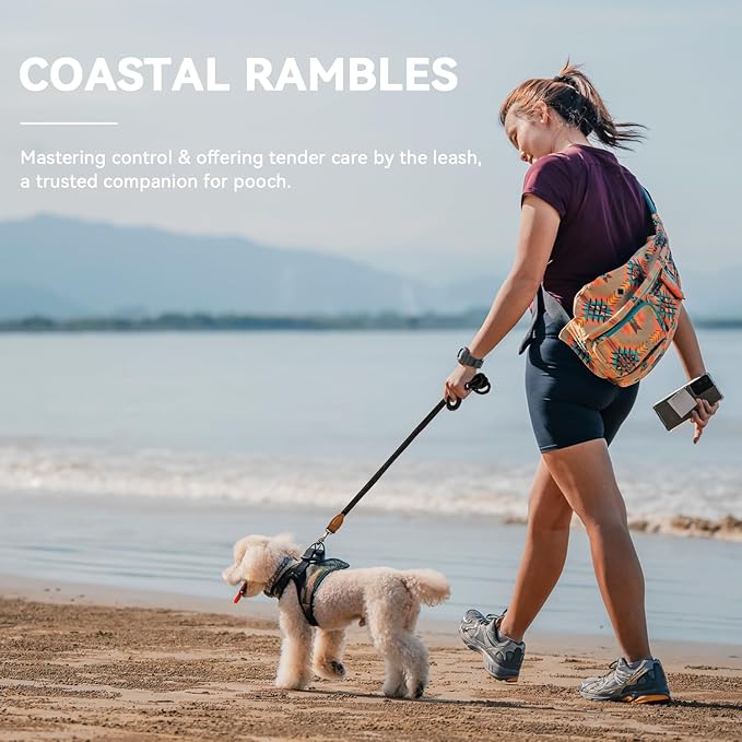 Correa Doble Enganche para Perros – Control, Libertad y Equilibrio   3 metros · Ajustable · Negro