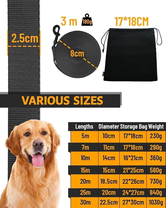 Correa Larga de Adiestramiento – Libertad, Aprendizaje y Confianza