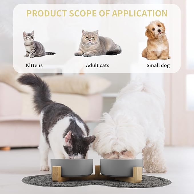 Comedero Elevado para Gatos y Perros Pequeños – Doble Cuenco