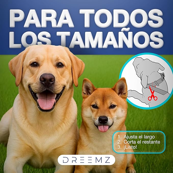 DREEMZ – Collar Repelente de Insectos (100% vegetal, 8 meses de protección)
