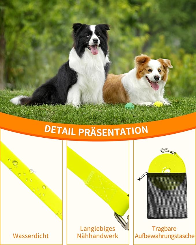 Toozey – La Correa que Acompaña Sus Pasos con Amor y Libertad