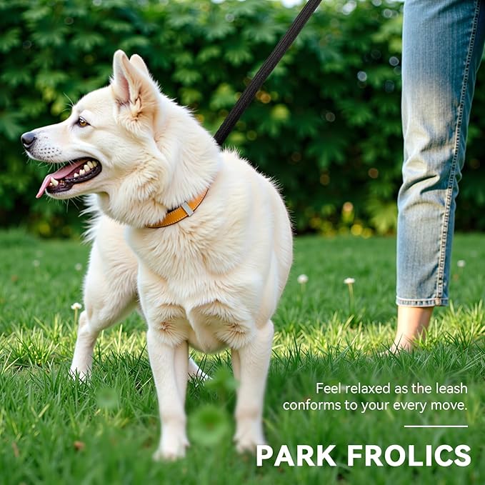 Correa Doble Enganche para Perros – Control, Libertad y Equilibrio   3 metros · Ajustable · Negro