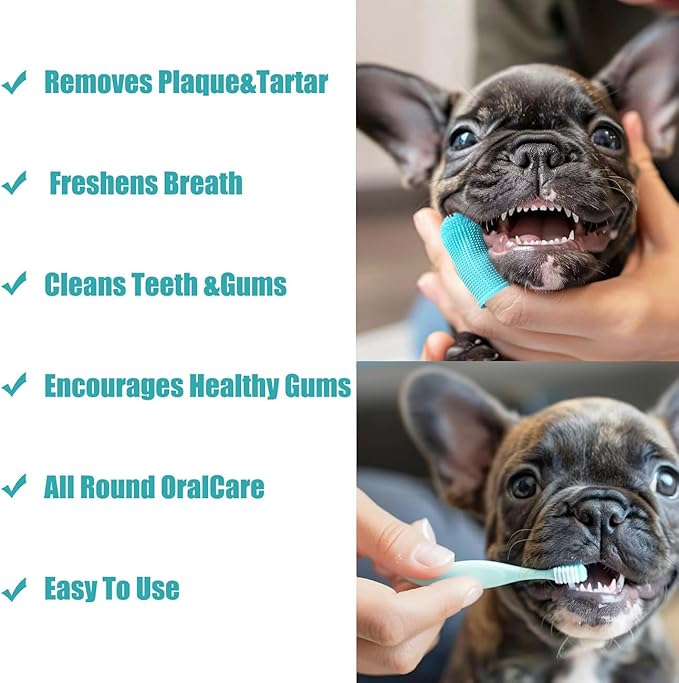 Cepillo Dental 360º para Perros y Gatos — Sonrisas Sanas, Vínculos Más Fuertes