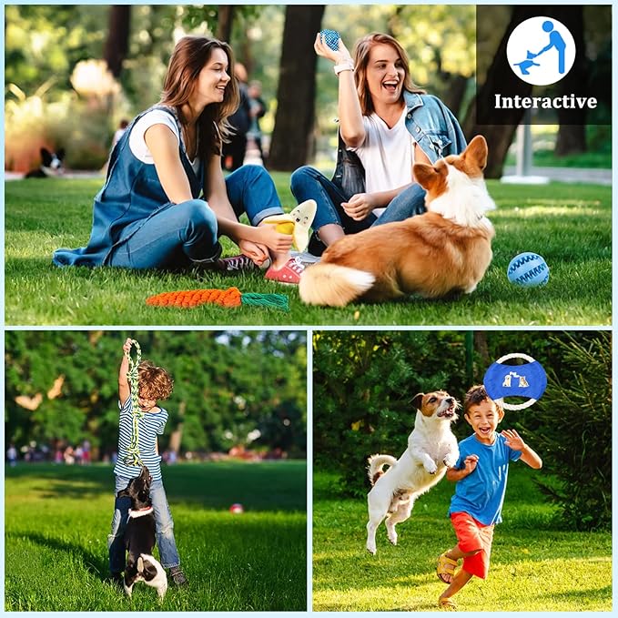 Juguetes para Perros – Pack de 19 Piezas - Tradición, juego y cariño para tu compañero fiel