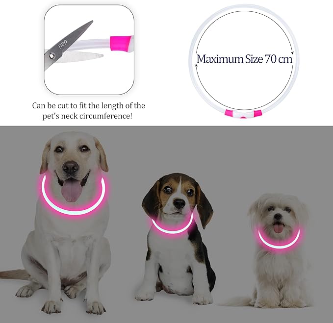 Coolzon Collar Luminoso para Perros y Gatos – Luz, Seguridad y Amor en Cada Paseo