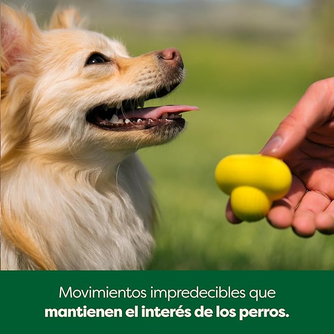 Earth Rated – Pelota para Perros   Juguete interactivo de goma natural · Tamaño pequeño