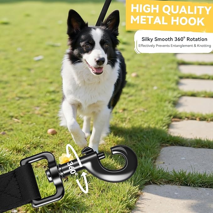 Correa Larga de Adiestramiento – Libertad, Aprendizaje y Confianza