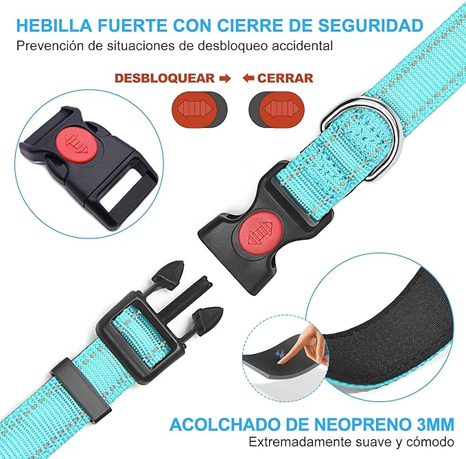 haapaw – Collar Reflectante y Acolchado   Comodidad, seguridad y cariño en cada paseo