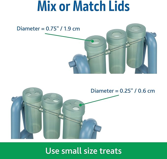 RIXIE Dog Activity – Turn Around (Nivel 2) - Un reto para mentes despiertas… como en los hogares de siempre