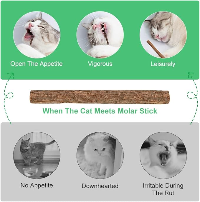 OSDUE – Palitos de Hierba Gatera 100% Orgánicos (32 uds) - Un ritual natural, ancestral y lleno de calma para tu gato