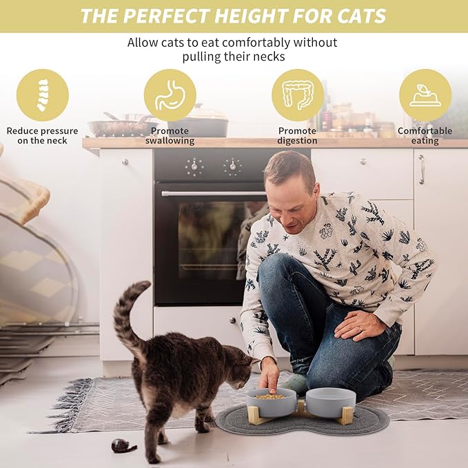 Comedero Elevado para Gatos y Perros Pequeños – Doble Cuenco