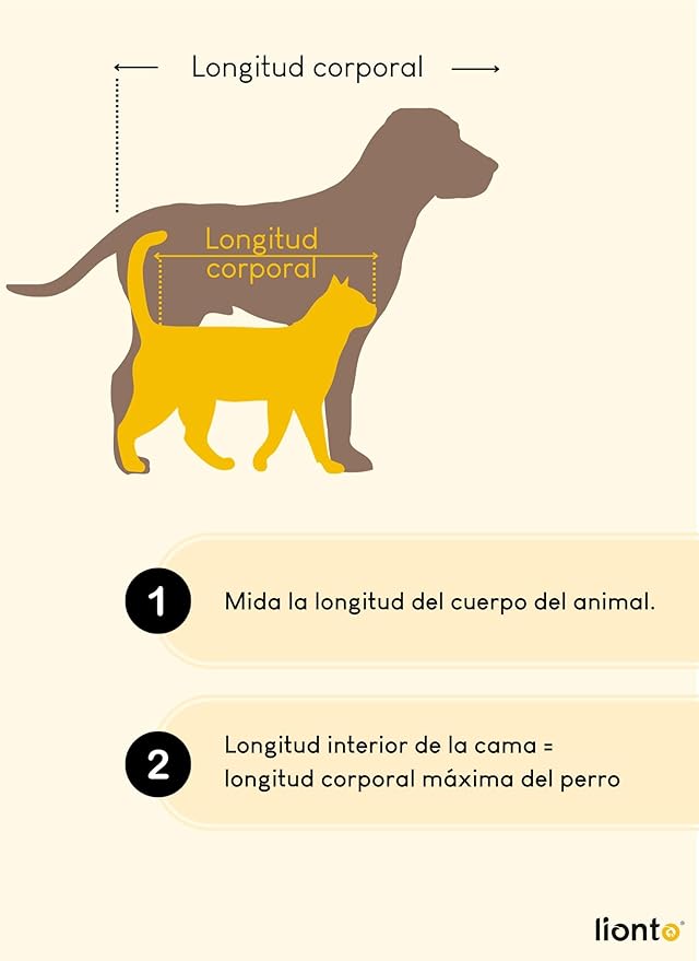 Cama lionto para Perros – Un Refugio Pequeño, Suave y Lleno de Cariño
