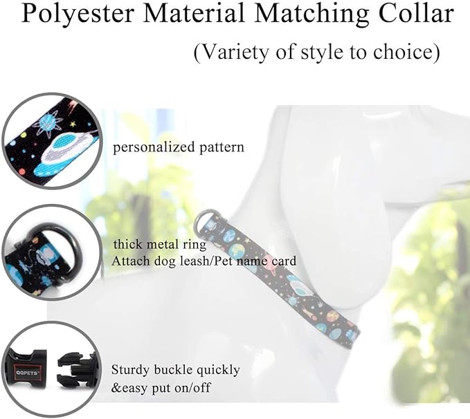 Roses&Poetry – Collar y Correa para Perros Medianos   Estrella · Colorido · Ajustable · Hecho para brillar juntos