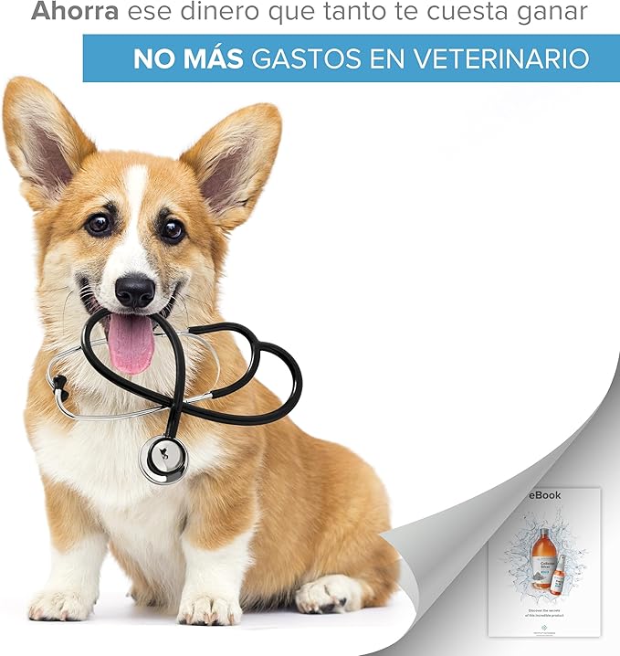 Spray de Plata Coloidal 100% Natural – El alivio que tu mejor amigo lleva tiempo pidiendo