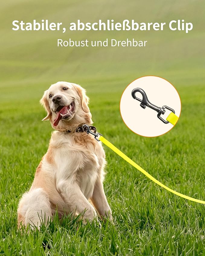 Toozey – La Correa que Acompaña Sus Pasos con Amor y Libertad