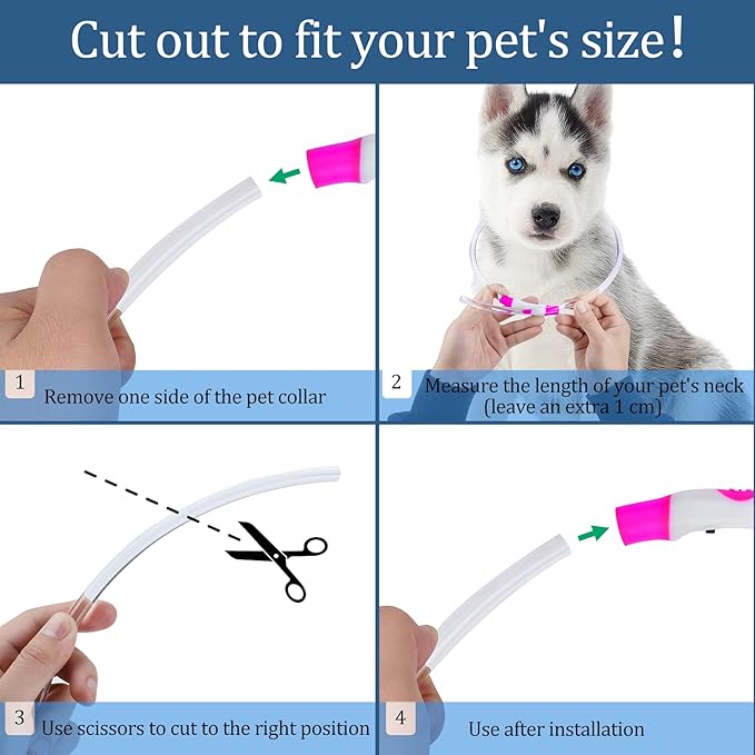 Coolzon Collar Luminoso para Perros y Gatos – Luz, Seguridad y Amor en Cada Paseo