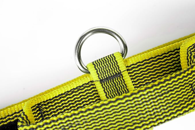 Collar Color & Gray – Seguridad, Fuerza y Control con Alma   40 mm · Ajustable 38–53 cm · Neón/Gris